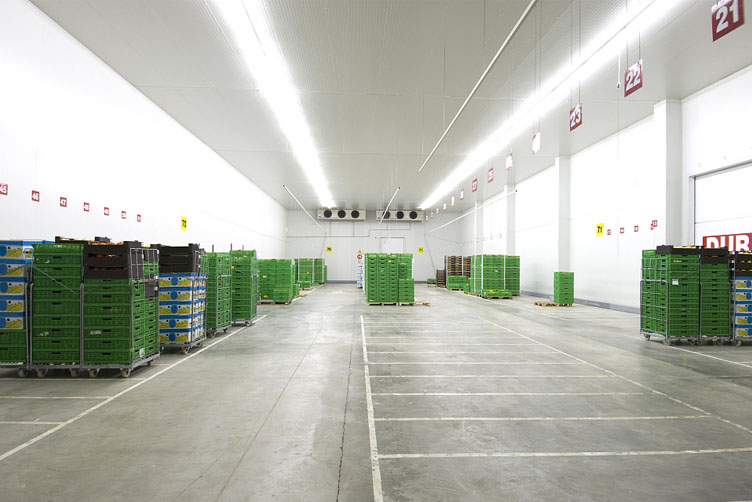 ��˾��ұ���ɺ���