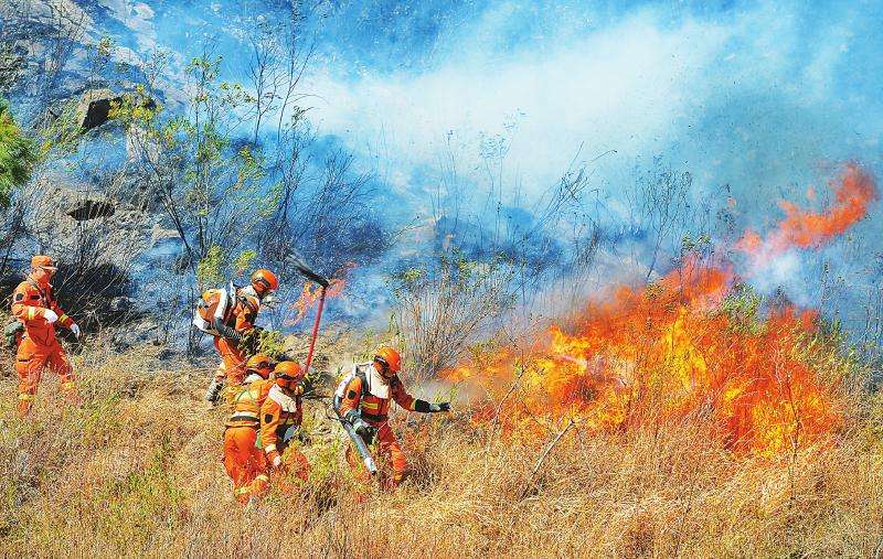 ��ɽӢ������ ���ִ̲���ҵ��Ӣ���¾�