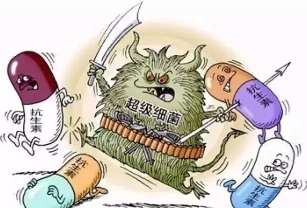 �������������в�ж����