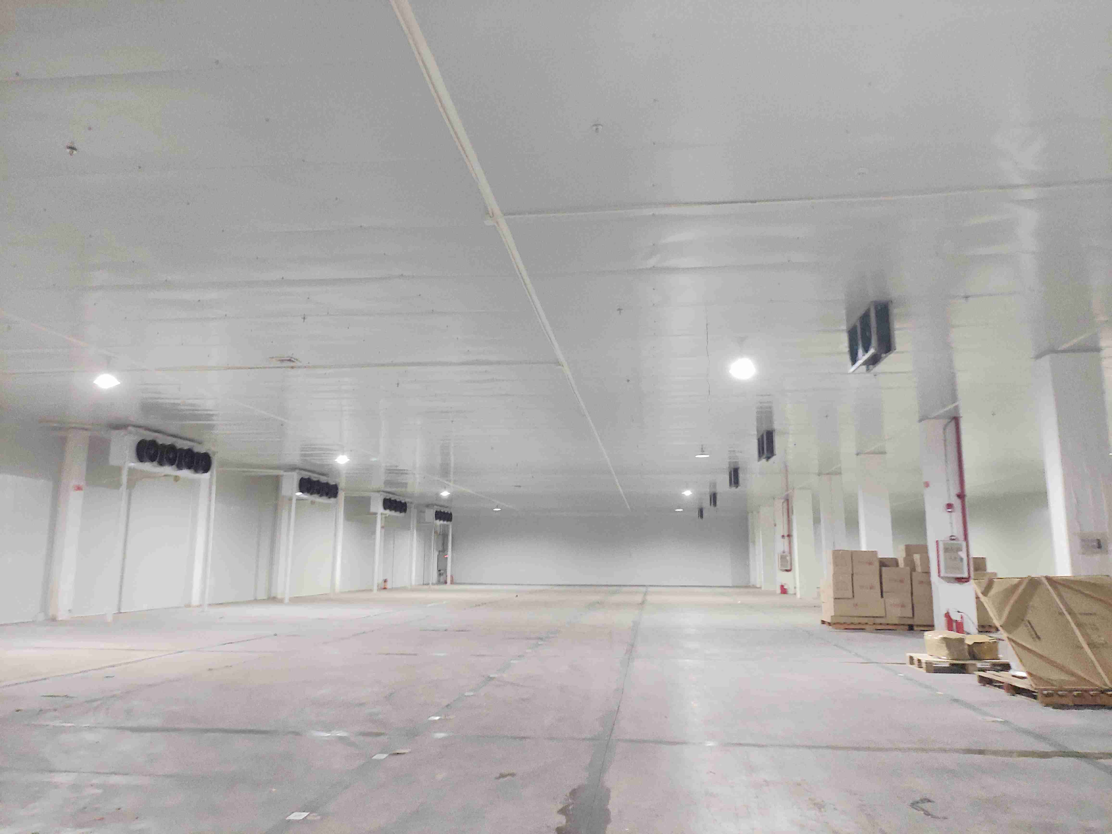 ����䲼�й����������׷�����滮