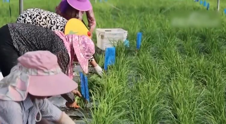 ũ��Ʒϲ��ר������-����������