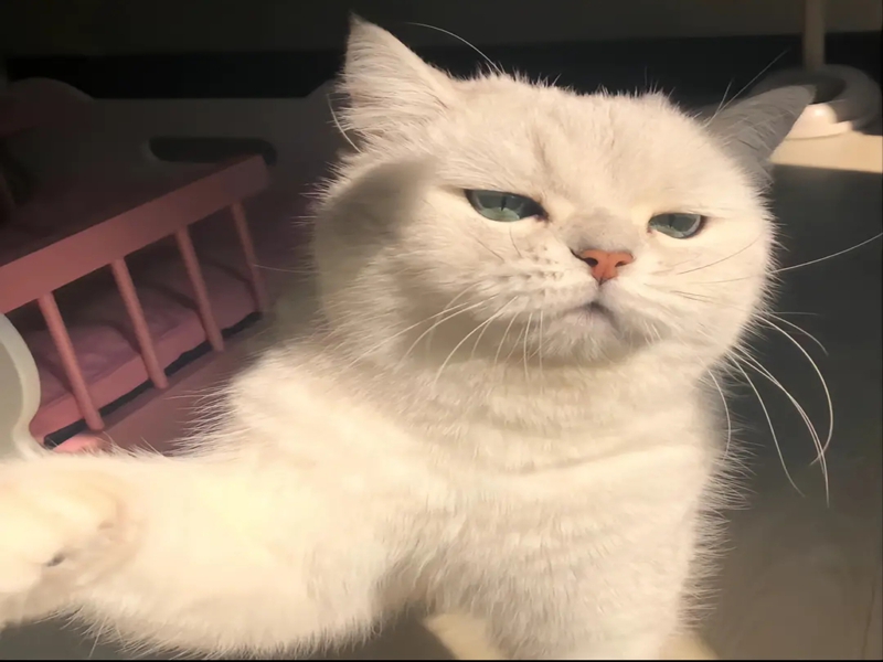 ����ʳƷ�йֿܲ�