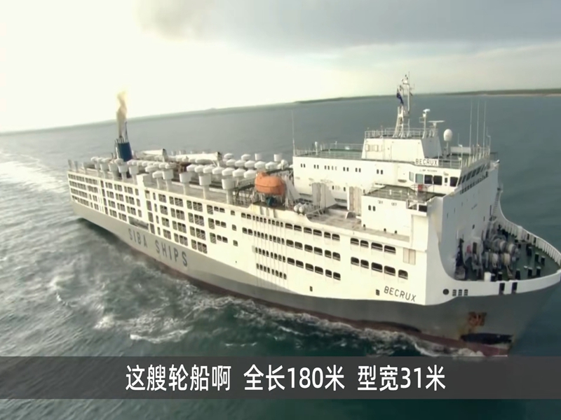 ҵ��ȫ��������һ�κ���16000ͷ��ţ��