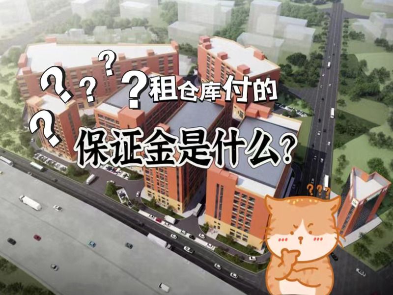 ��ֿ⸶�ı��Ͻ���ʲô����ʲô������