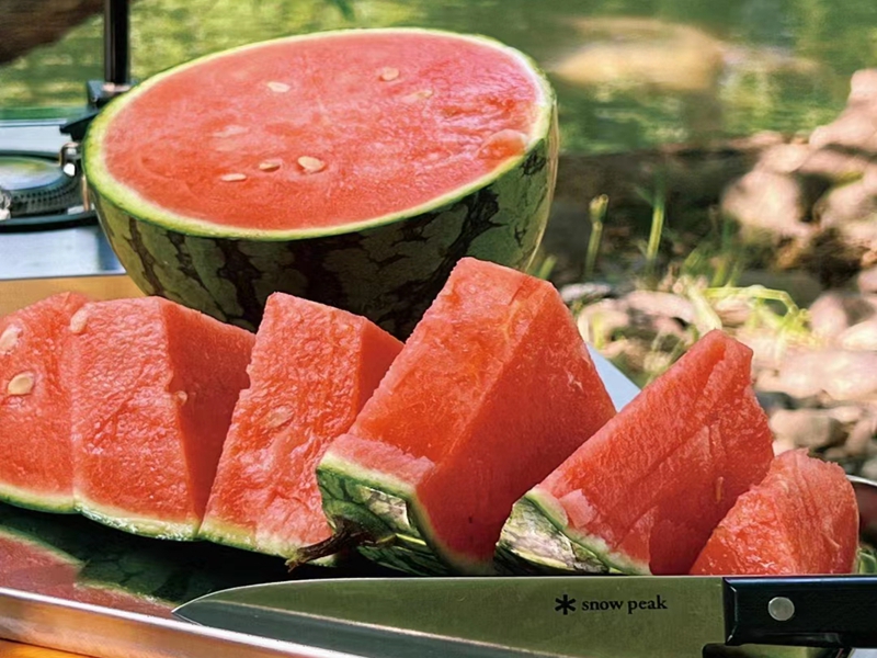 拉萨仓库出租：夏季经济到了，那些行业好做？