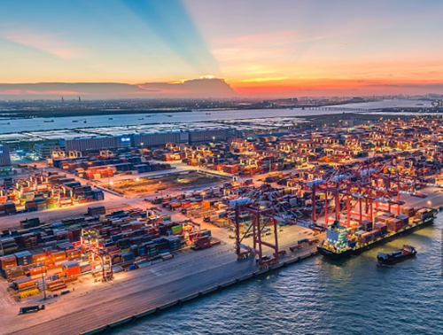 2024���й�������Ҫ�������Ե