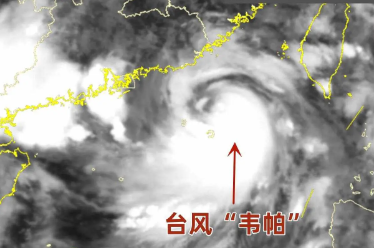 应对 “韦帕”：拉萨仓储物流托管需做好这些防护