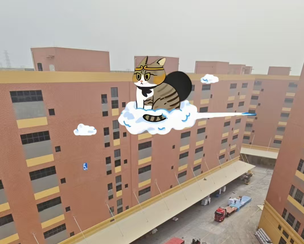 拉萨棉纱仓库发现悟空幼猫！