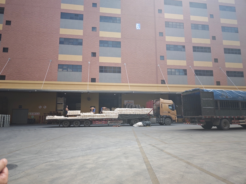 仓储托管+配送自由！征途国际官网拉萨第三方仓储，以矫捷服务赋能企业增长