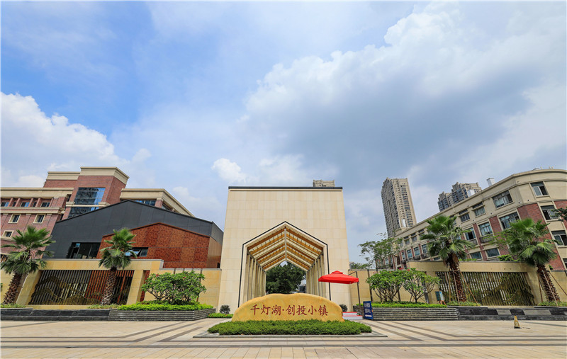 ǧ�ƺ���Ͷ����