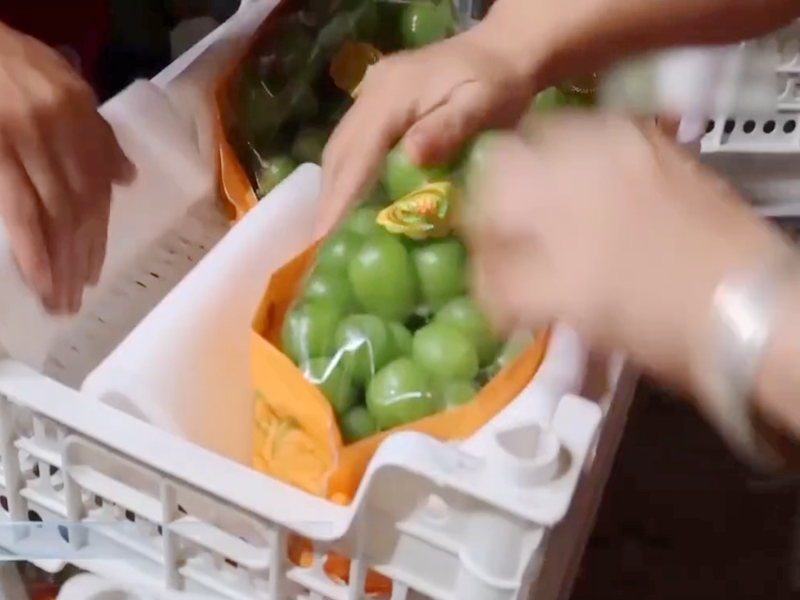 拉萨葡萄冷库出租