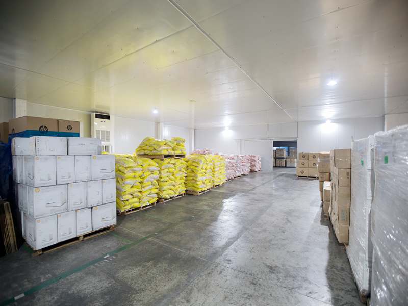 �����ֿ�