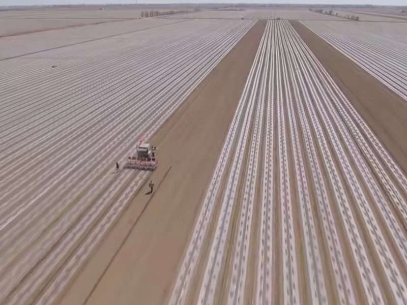 ÃÞ»¨²¥ÖÖ ÃÞ»¨²¥ÖÖ