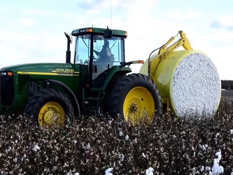 ÃÞ»¨²ÉÕª ÃÞ»¨²ÉÕª