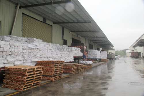 �����ֿ����