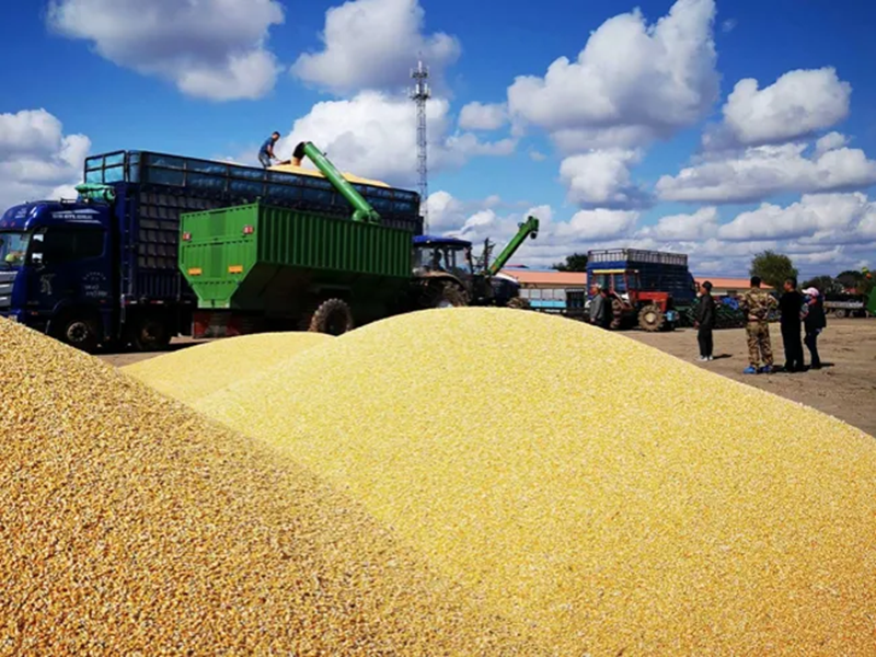 ������ʳ�ִ�