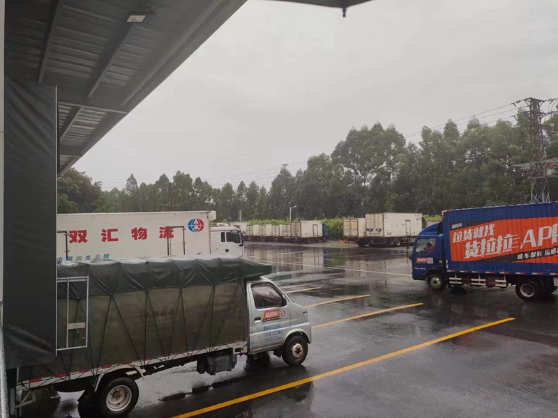 ����������