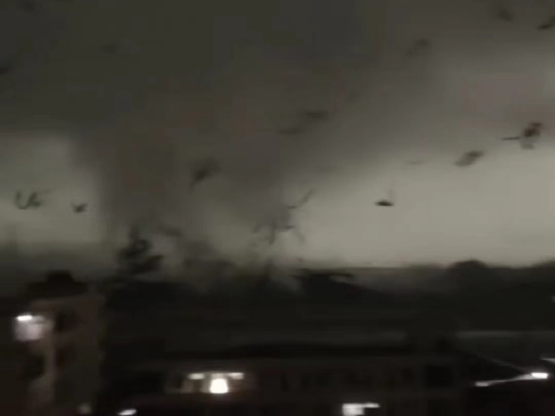 �㶫��������