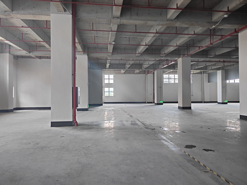 �������Բֿ����