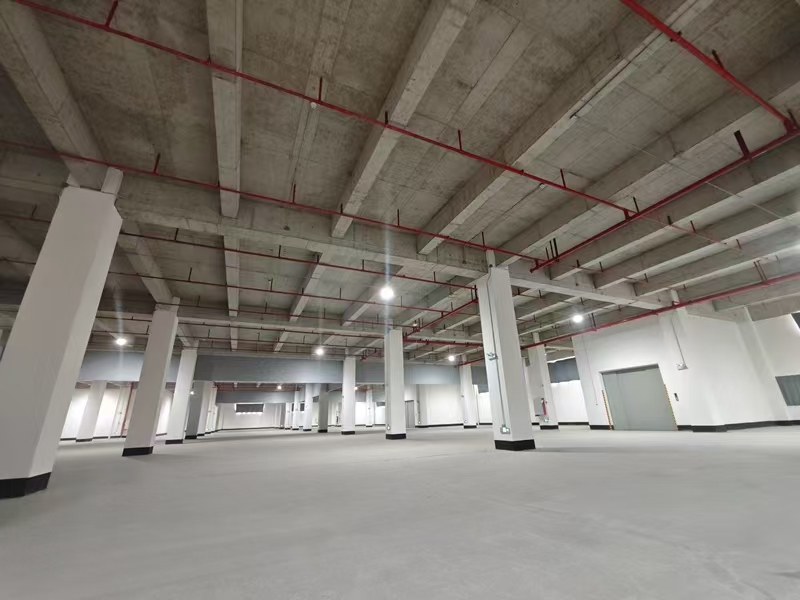 ���������ֿ����